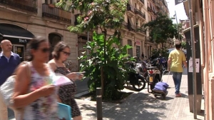 A microgarden in the streets of Poble Sec neighbourhood