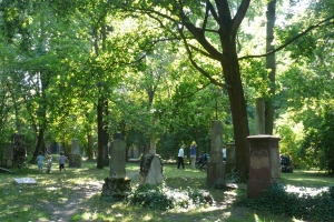 Peaceful public park in an old cementery