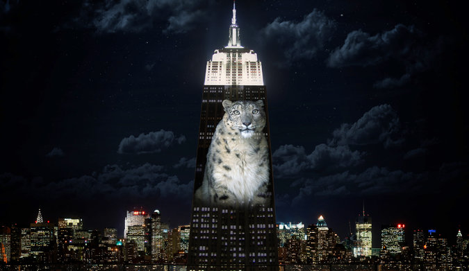 Artists projected images of animals to highlight the plight of endangered species