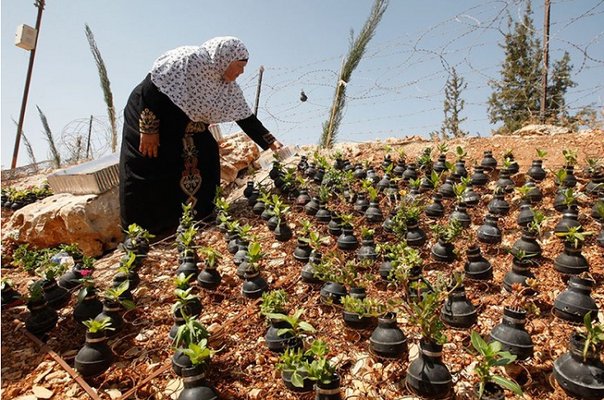 Un pequeño pueblo en Palestina siembra flores en las bombas