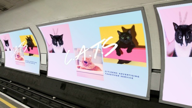 Esta iniciativa cambia la publicidad del metro de Londres por fotos de gatitos