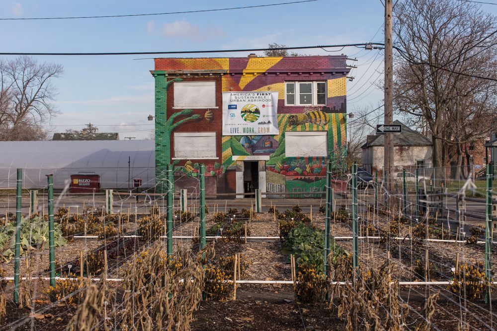 Agrihood – An alternative neighborhood focusing on urban gardening