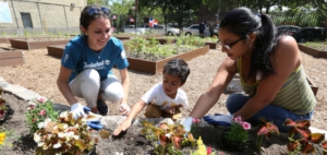 Urban gardening: Neighbors plant at the United We Stand garden