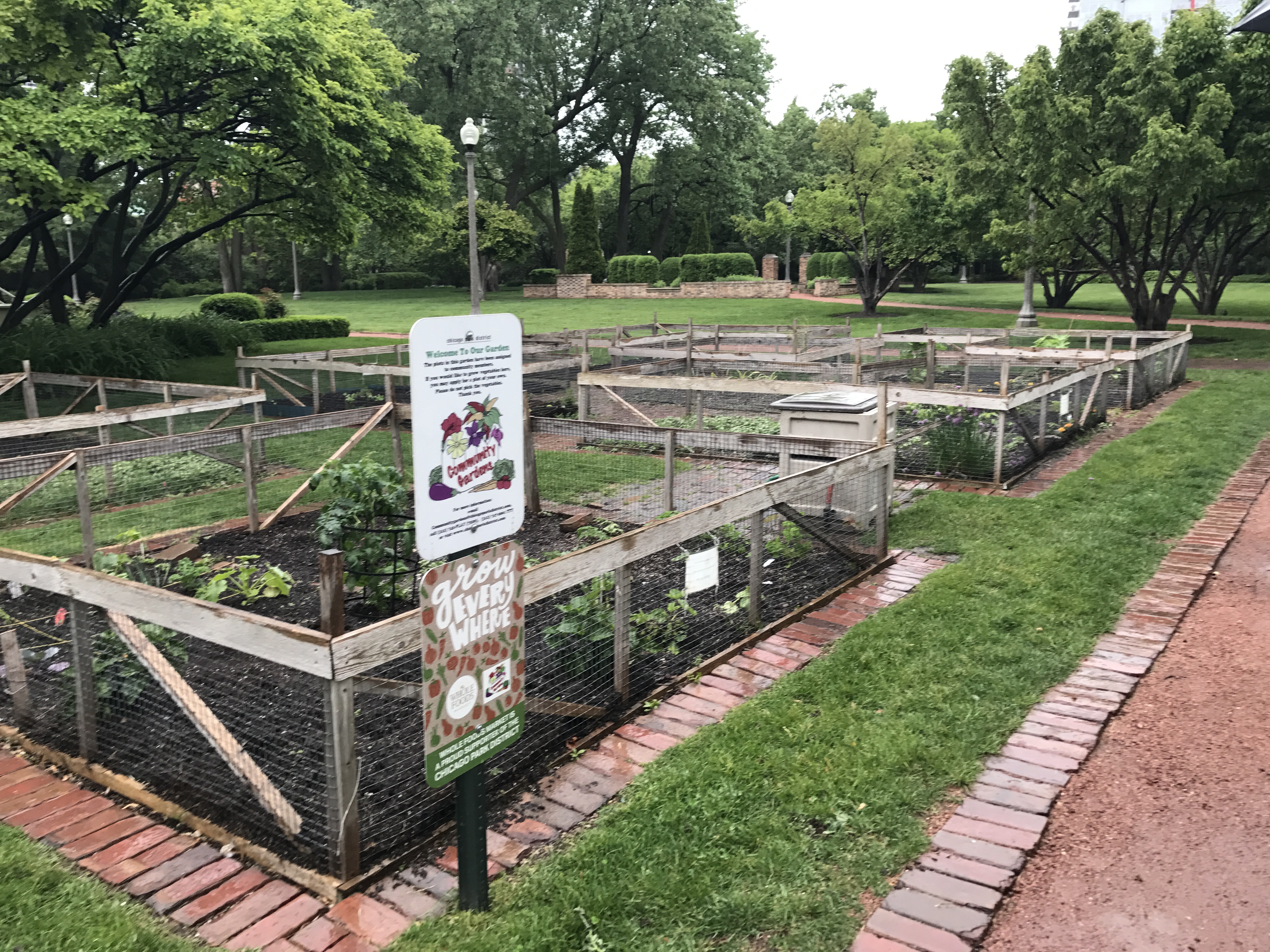 Urban gardening at a public park in Chicago