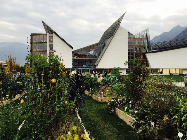 Beyond technology. A Science museum with urban gardening