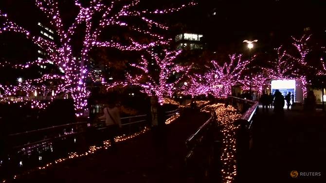 Tokyo’s Christmas ‘cherry blossoms’ lit by used cooking oil