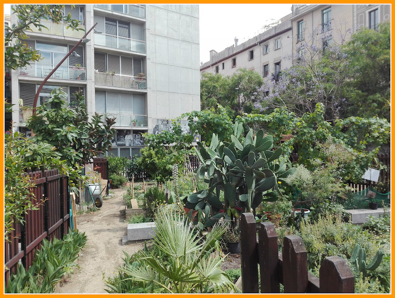 L’hortet del Forat  –  an urban garden in Barcelona
