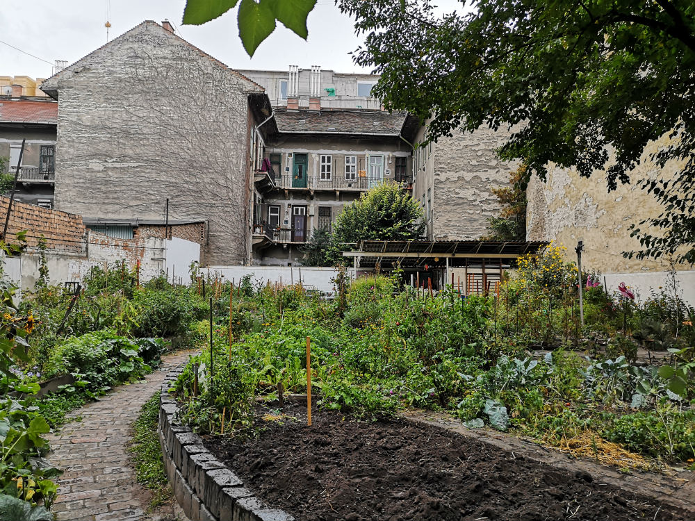 Urban gardens undergird a network of trust in Budapest
