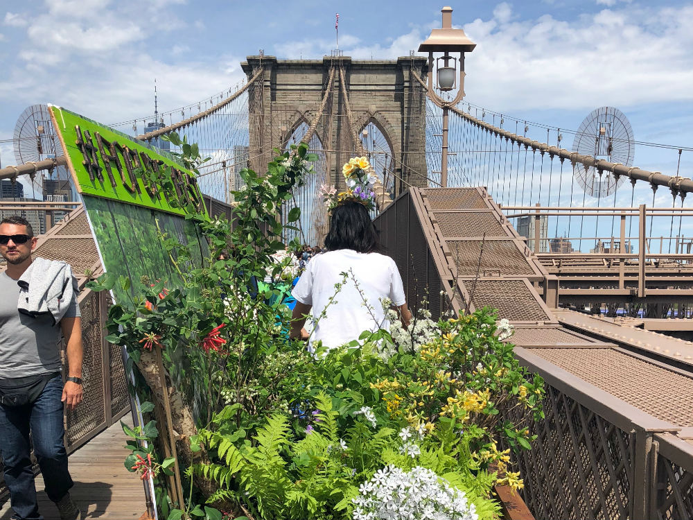 PopUP Forest: A call to biodiversity in cities from New York