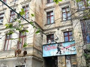 Clärchens Ballhaus comeback in Berlin stands for an inclusive cultural institution
