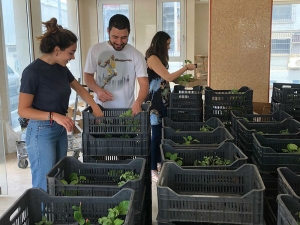 Urban-agriculture-Beirut