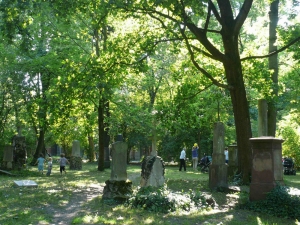 Public-park-old-cementery