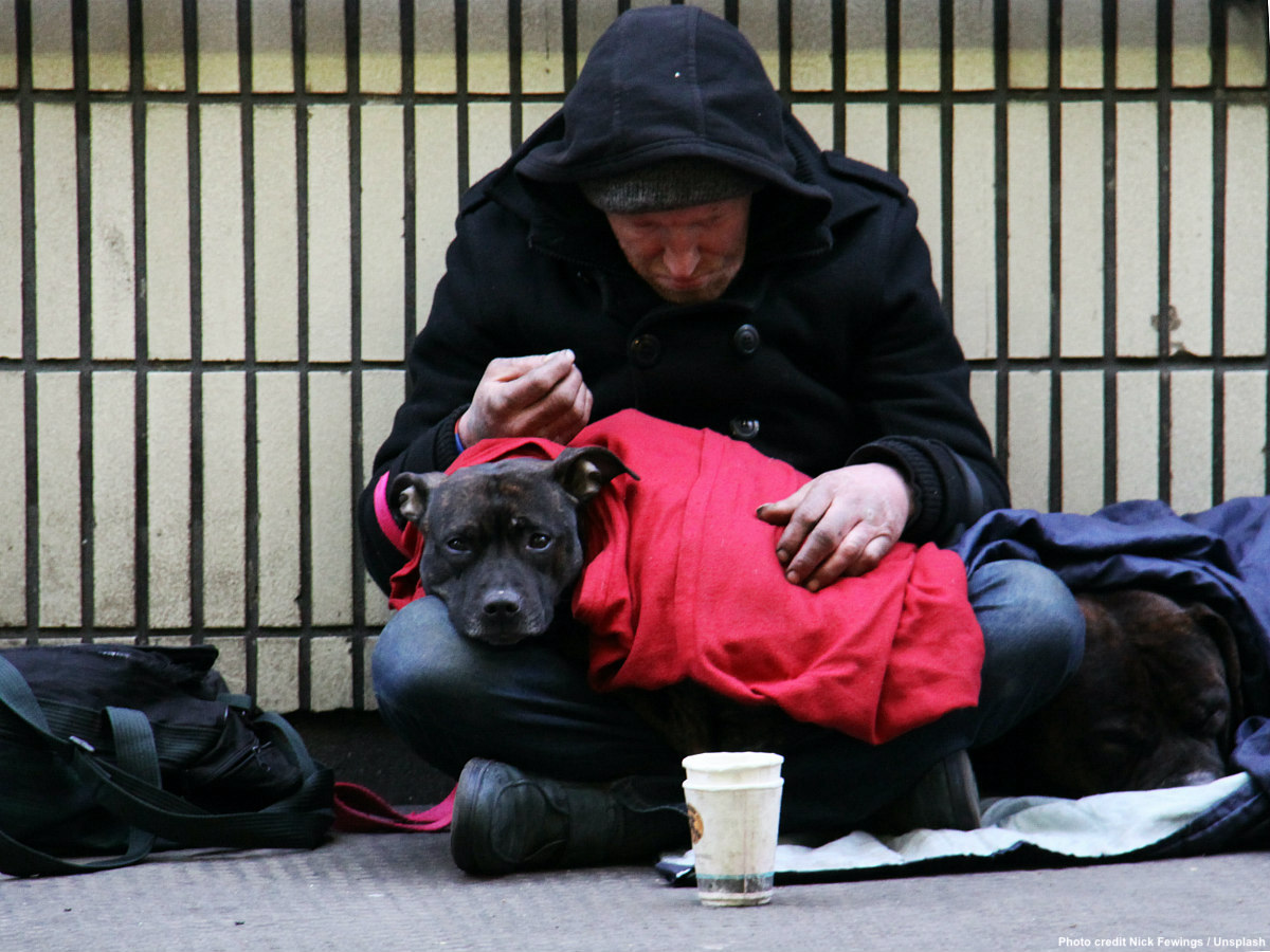 Feeding pets: A canny idea helps the homeless