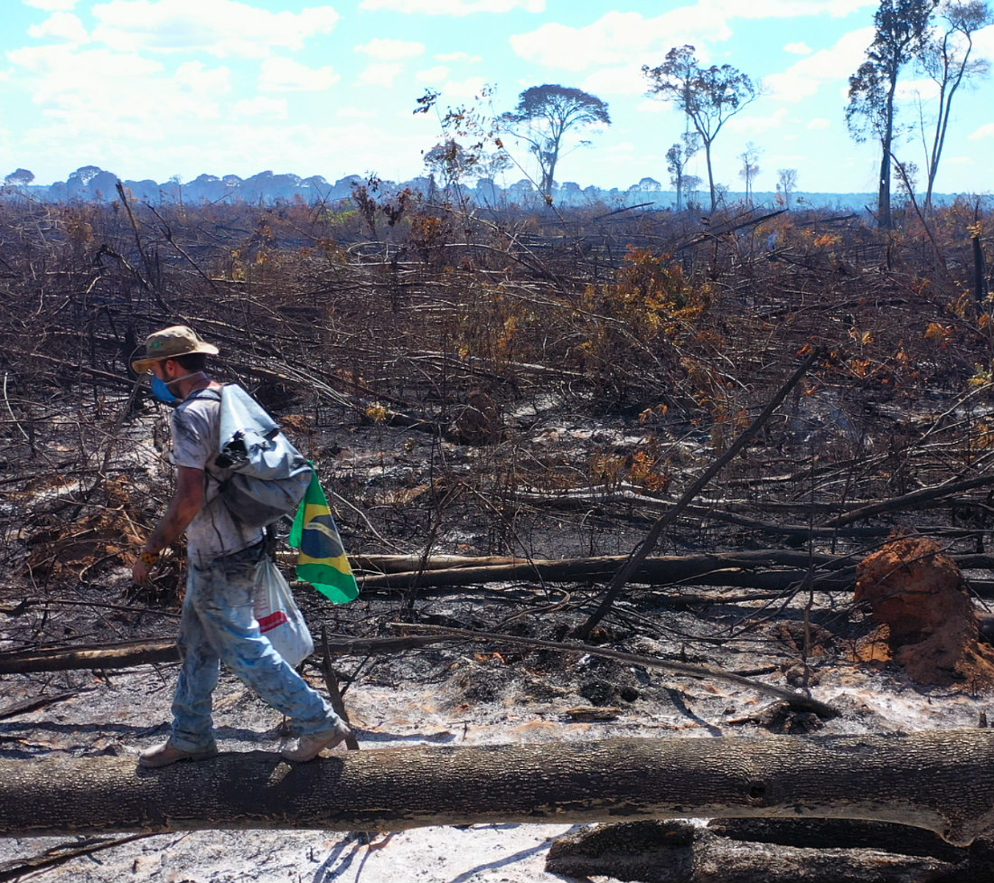 Burned-Amazon-rainforest
