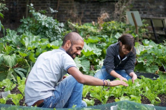 Food-sovereignty-London