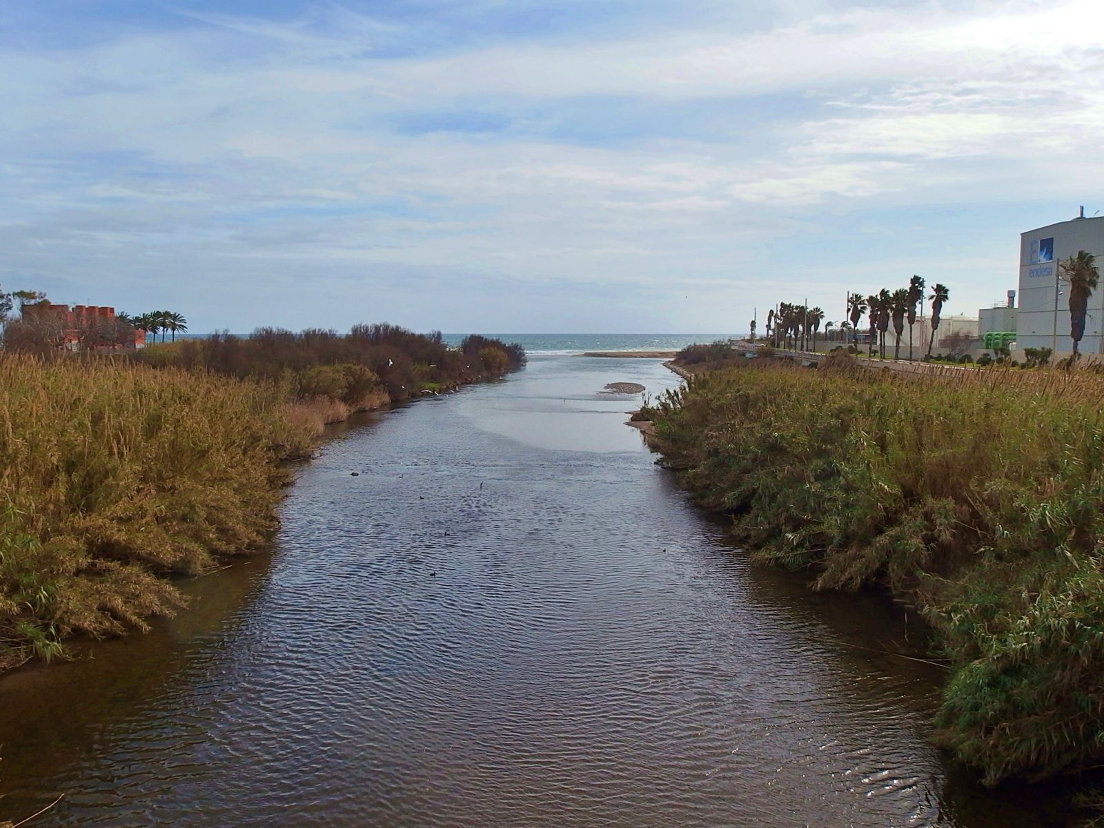 green-city-project-Europe-river-mouth