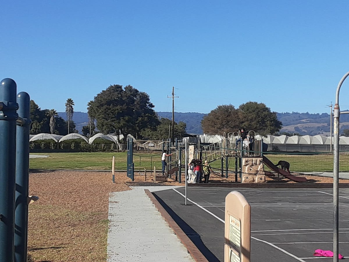 pesticides-use-near-schools