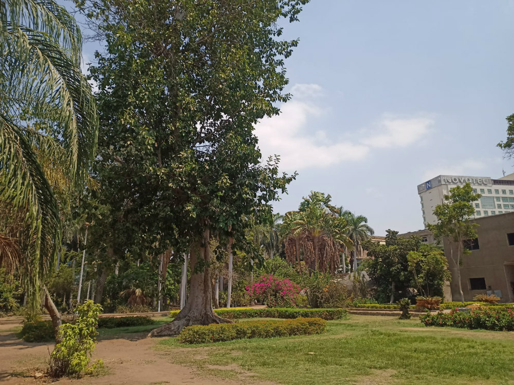El-Zahriya-Garden-Cairo
