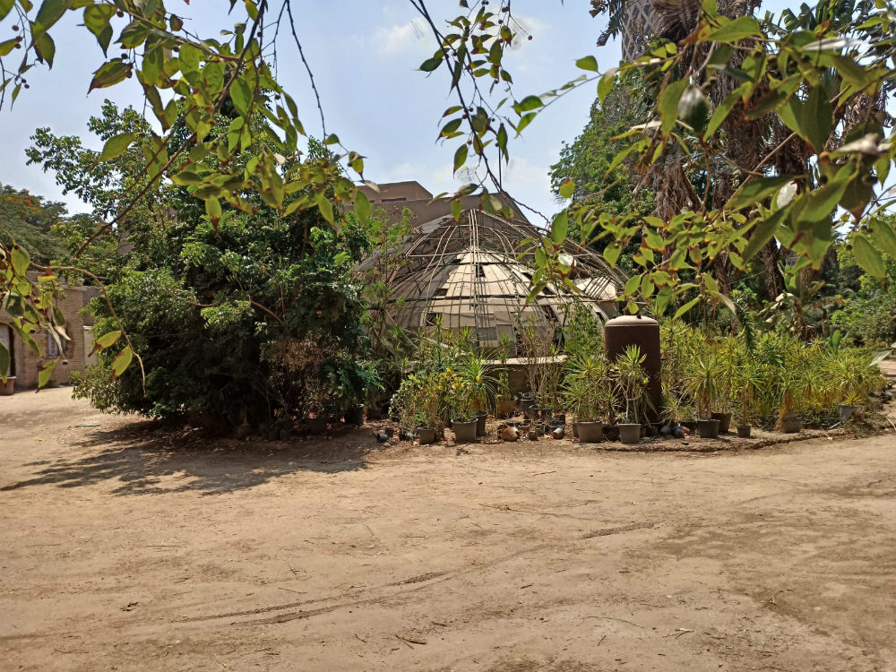 botanical-garden-Cairo