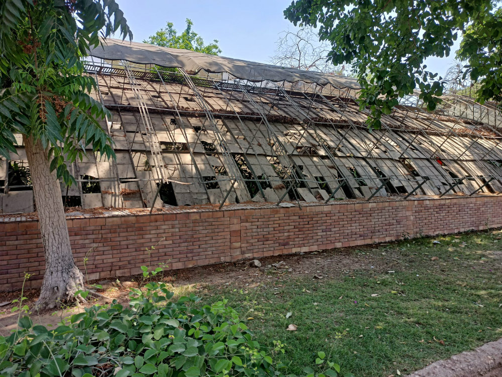 protecting-green-spaces-Cairo