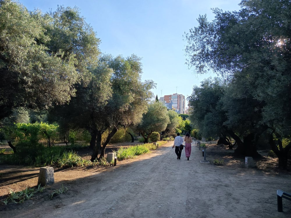 Foundation-Olivar-de-Castillejo