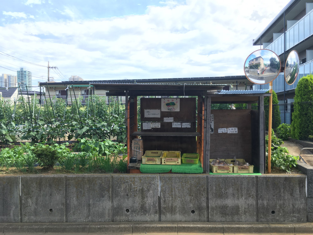 Tokyo-urban-agriculture